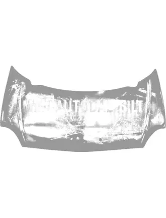 Bonnet Aixam 2005-2008 m.