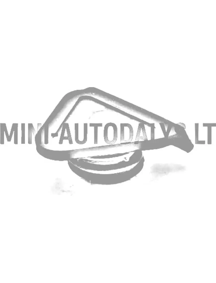 Alyvos įpylimo dangtelis Lombardini 502 FOCS