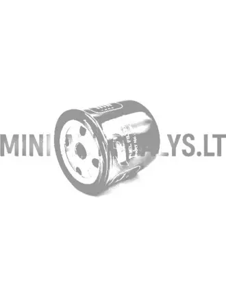 Kuro filtras Lombardini 502 FOCS
