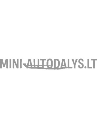 Tuščiaviduris raktas + 10 mm veržliaraktis Ligier / Microcar
