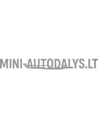 Tuščiaviduris raktas + 10 mm veržliaraktis Ligier / Microcar