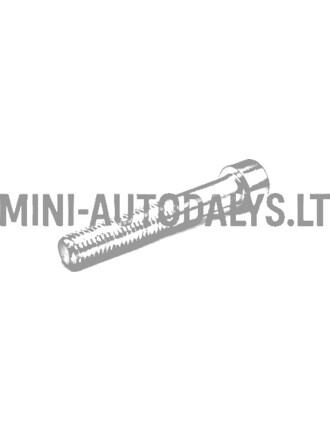 Stabdžių suportų varžtas Ligier M10x60