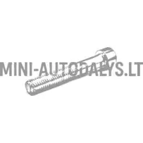 Stabdžių suportų varžtas Ligier M10x60