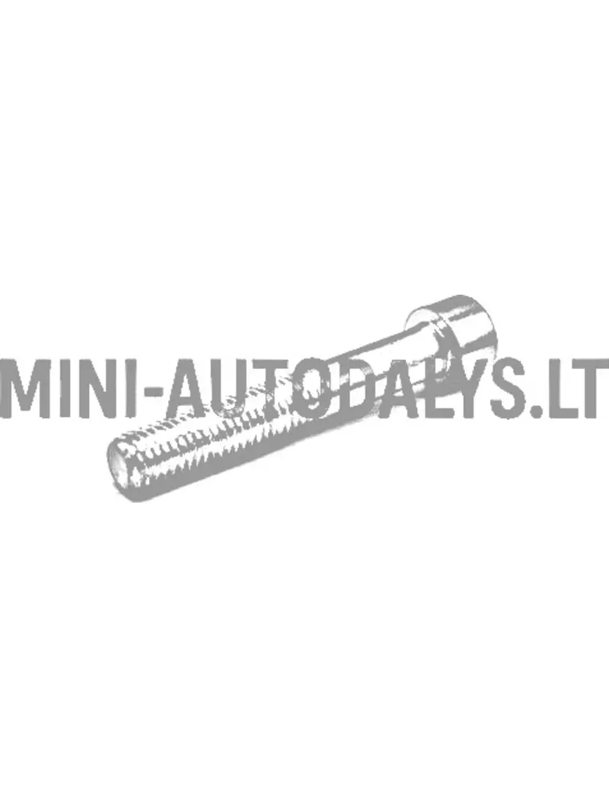 Stabdžių suportų varžtas Ligier M10x60