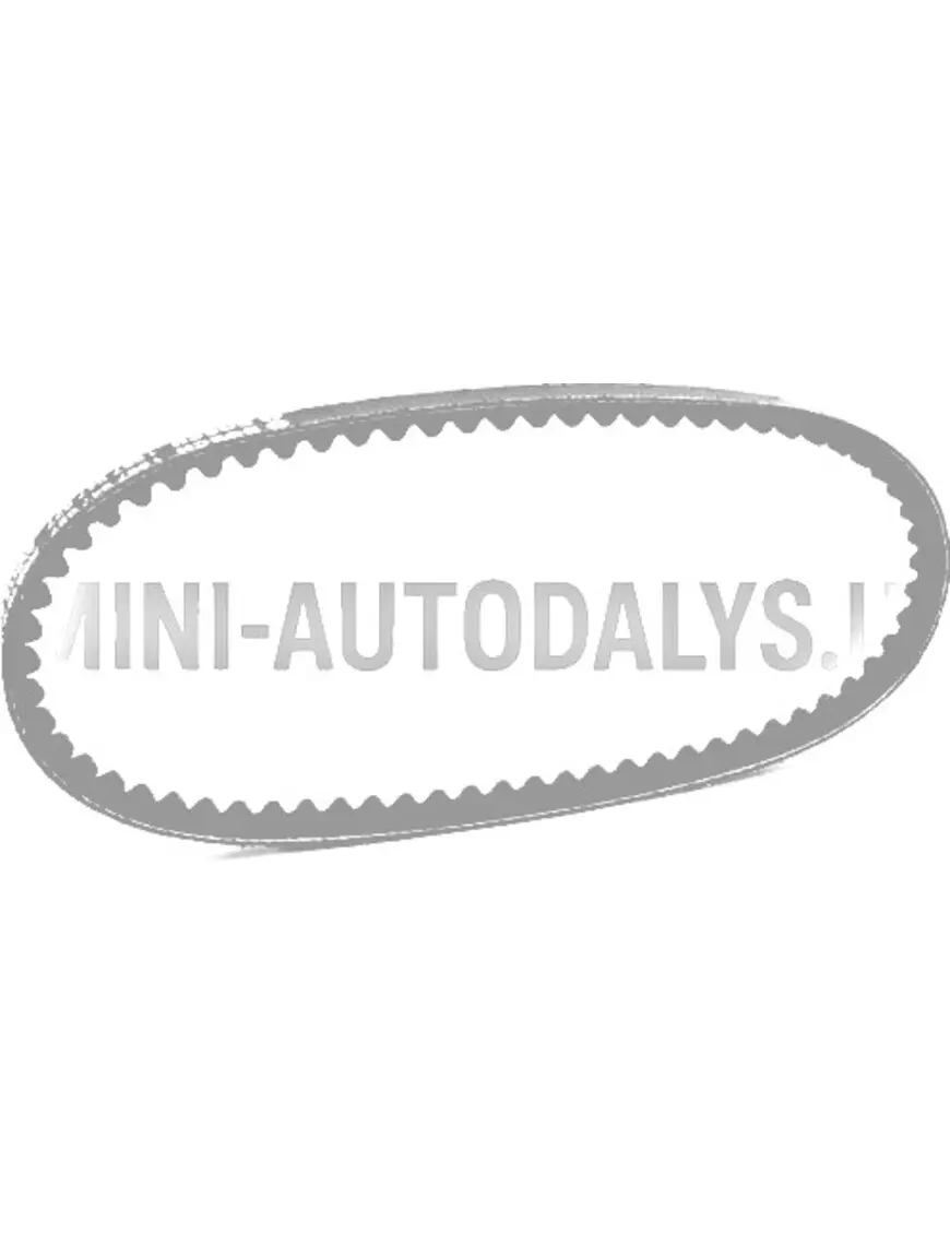 V formos diržas Ligier X-Too / X-Too MAX (10x600 mm)