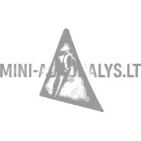 Vyrių kampas priekyje kairėje Aixam 2005-2008 m.