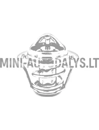 Termostatas Yanmar