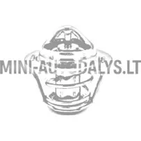 Termostatas Yanmar