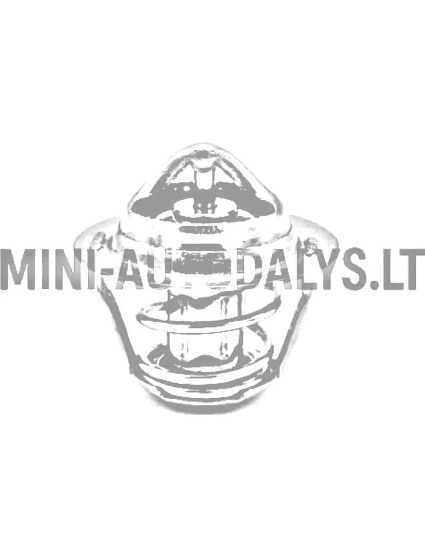 Termostatas Yanmar