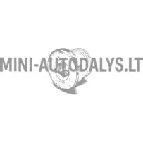 Lombardini alyvos išleidimo kamštis