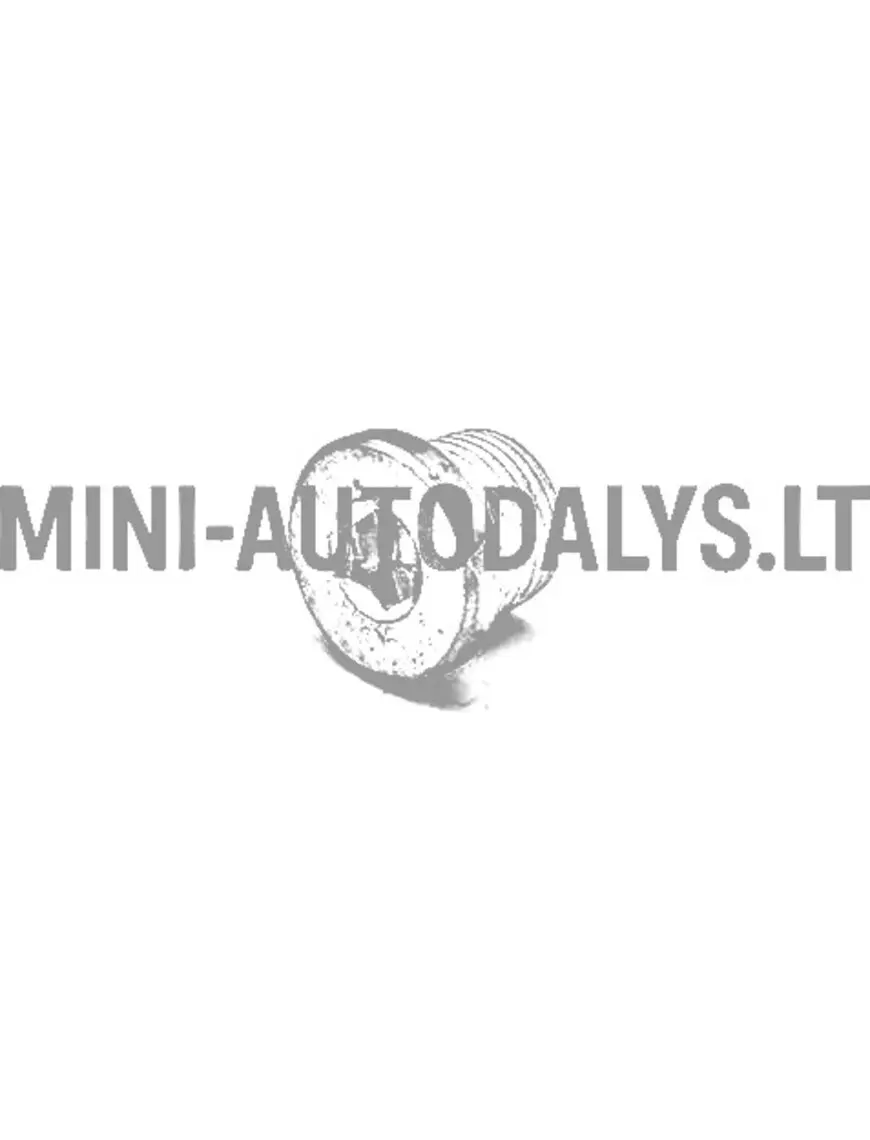 Lombardini alyvos išleidimo kamštis