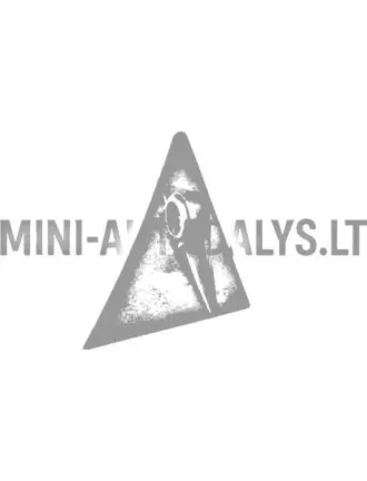 Vyrių kampas priekinis dešinysis Aixam 2005-2008 m.