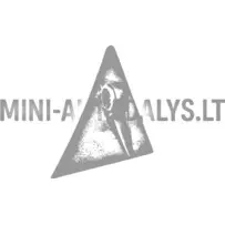 Vyrių kampas priekinis dešinysis Aixam 2005-2008 m.