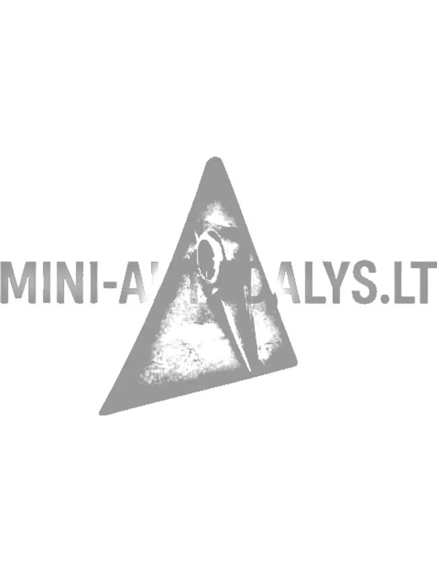 Vyrių kampas priekinis dešinysis Aixam 2005-2008 m.