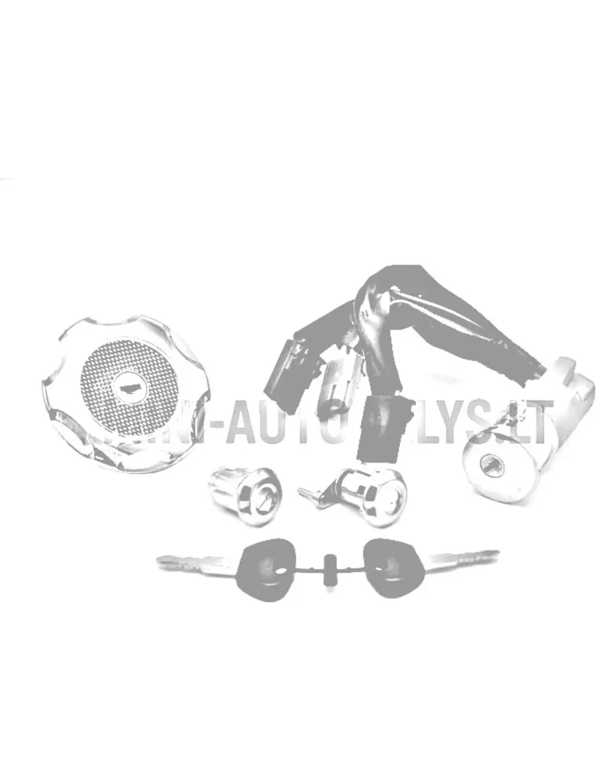 Užraktų rinkinys (3 laidų) Microcar / Ligier