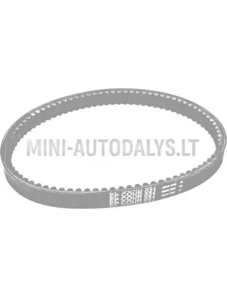 Pavaros diržas EPCOUR 021 B1211AA1022