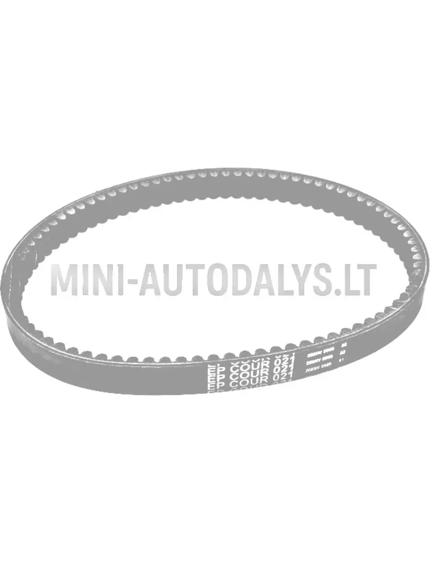 Pavaros diržas EPCOUR 021 B1211AA1022