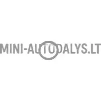 Vandens siurblys Yanmar su sandarinimo žiedu