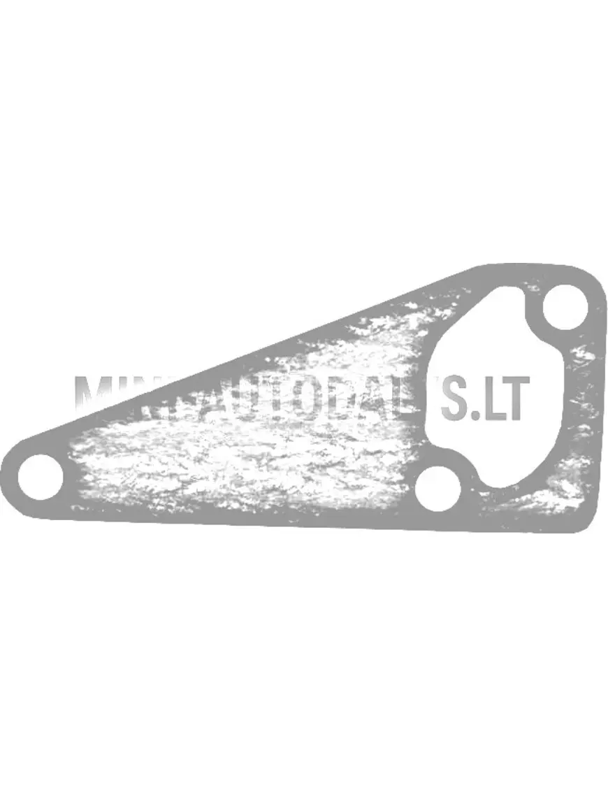 Tarpinė vandens siurblys Yanmar