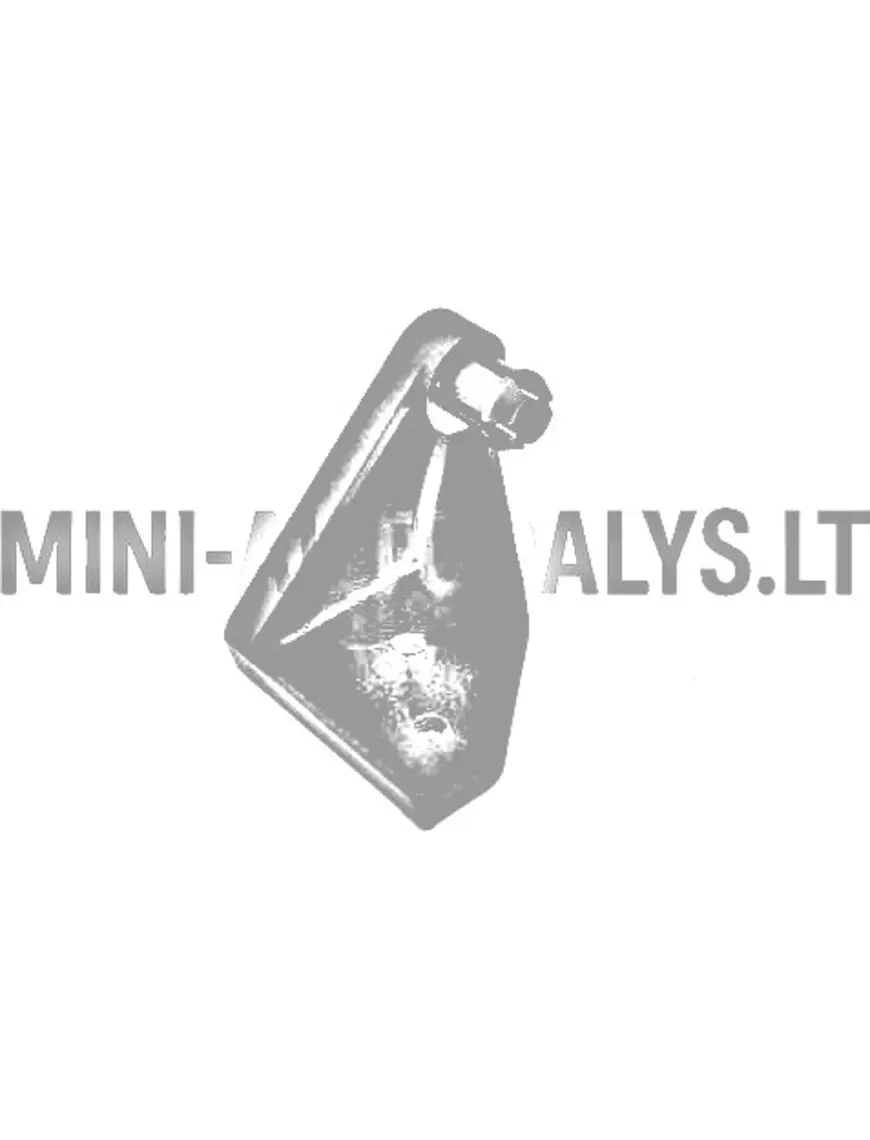 Kapoto dangčio lankstas dešinėje Aixam 1997-2012 m.