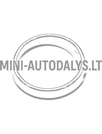 Žiedinis rūko žibintas dešinysis Ligier (chromuotas)