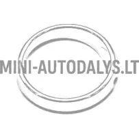 Žiedinis rūko žibintas dešinysis Ligier (chromuotas)