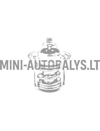 Termostatas Casalini Mitsubishi