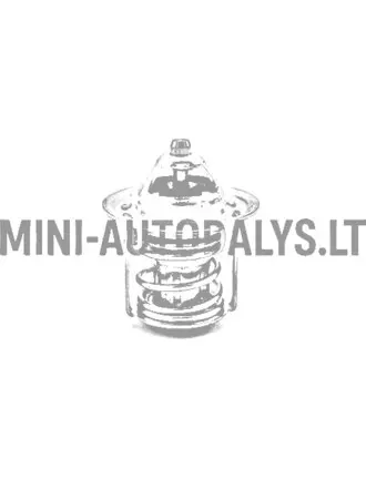 Termostatas Casalini Mitsubishi