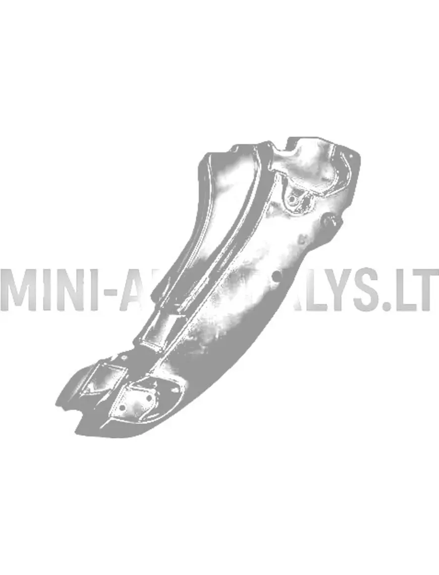 Vidinis priekinis kairės pusės sparnas Ligier JS50 / JS50L Ph2/Ph3