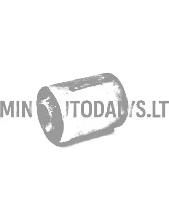 Galinės ašies guminė atraminė svirtis Chatenet