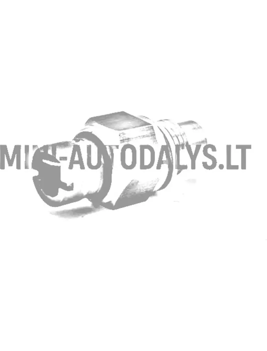 Temperatūros jutiklis Casalini Mitsubishi
