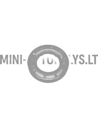 Alyvos sandariklis alkūninio veleno paskirstymo dangtelis Lombardini 442 / 480 / 492 DCI