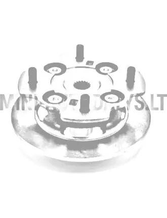 Stabdžių diskas + priekinio rato stebulė "Microcar Virgo" (Ø 170 mm)
