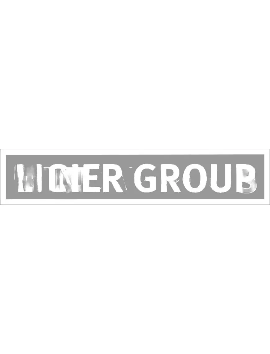 Bamperio lipdukas Ligier Group