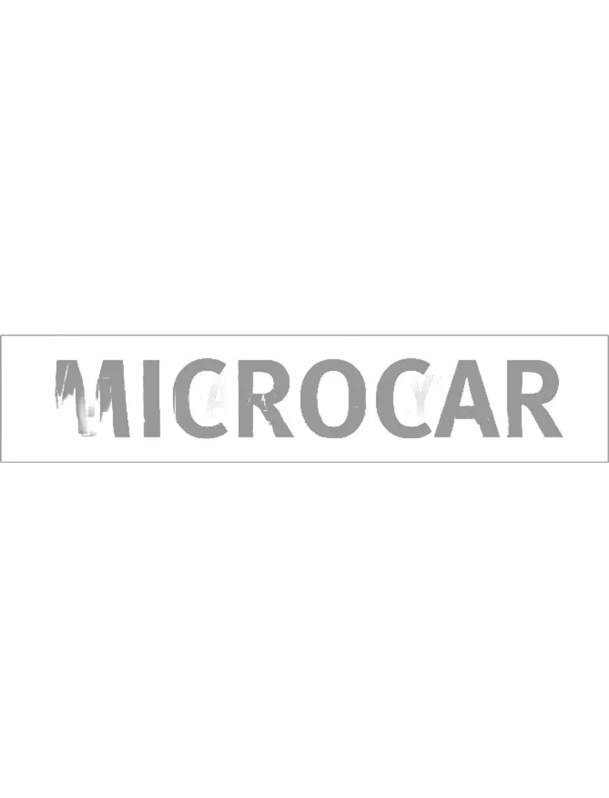 Bamperio lipdukas Microcar