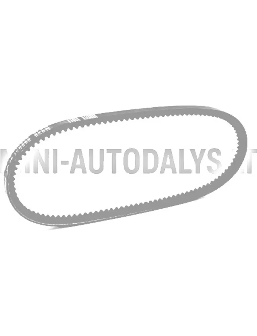 V formos diržas Lombardini 442 / 480 / 492 DCI (10x665 mm)
