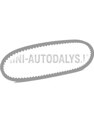 V formos diržas Microcar / Grecav / Ligier (10x617 mm)