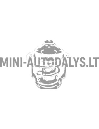 Termostatas Yanmar
