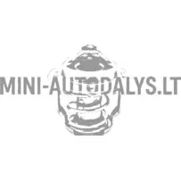 Termostatas Yanmar