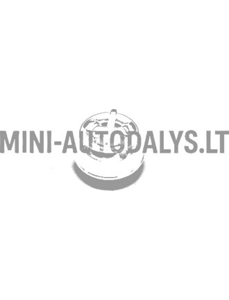 Šildytuvo rankenėlės ventiliatorius Aixam 2008-2010 (Chrome)