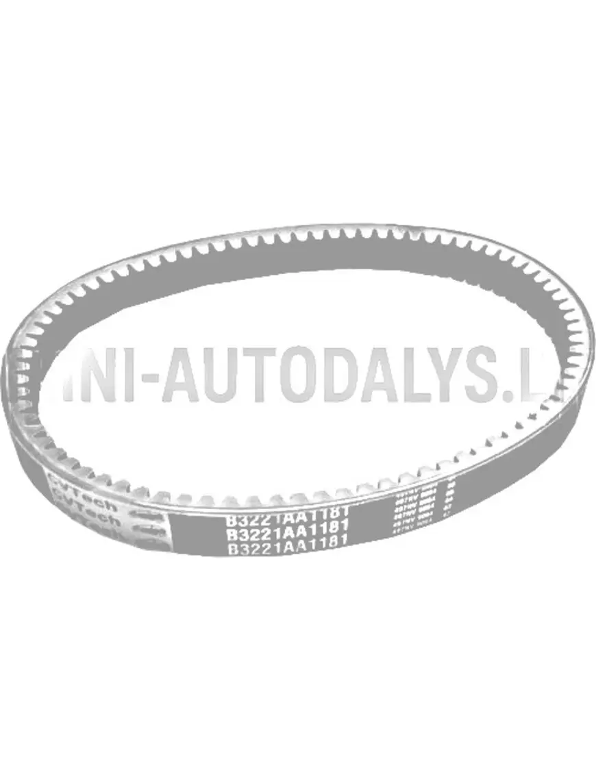 Pavaros diržas Microcar 1004541 B3221AA1181