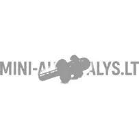 Tvirtinimo kištukas sklypo lentynos laidas Ligier / Microcar