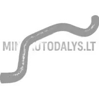 Radiatoriaus žarna Ligier Nova / X-Too