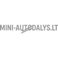 Šerdelės kaištis Ligier galinis suportas