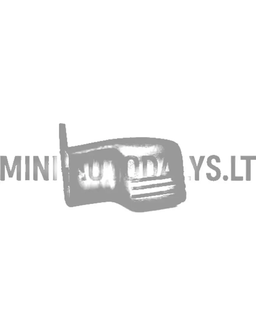Kairioji durų rankena Microcar MC1 / MC2