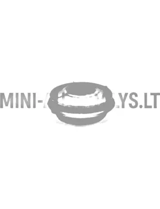 Dulkių dangtelis Guminė kreipiamoji įvorė Suportas Ligier