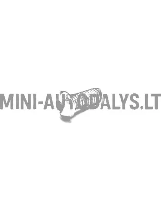Ratų stebulės tvirtinimo varžtas - stabdžių diskas Casalini / Chatenet / JDM