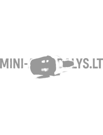 Priekinio stiklo ploviklio antgalis Ligier