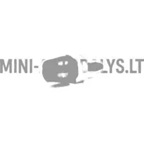Priekinio stiklo ploviklio antgalis Ligier