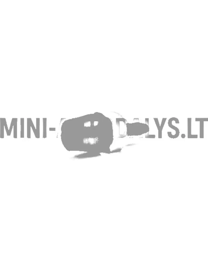 Priekinio stiklo ploviklio antgalis Ligier
